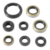 Oil Seal Kit 822485